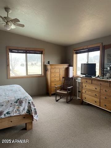 41451 HWY 180, Nutrioso, AZ 85932 — photo 30 of 68