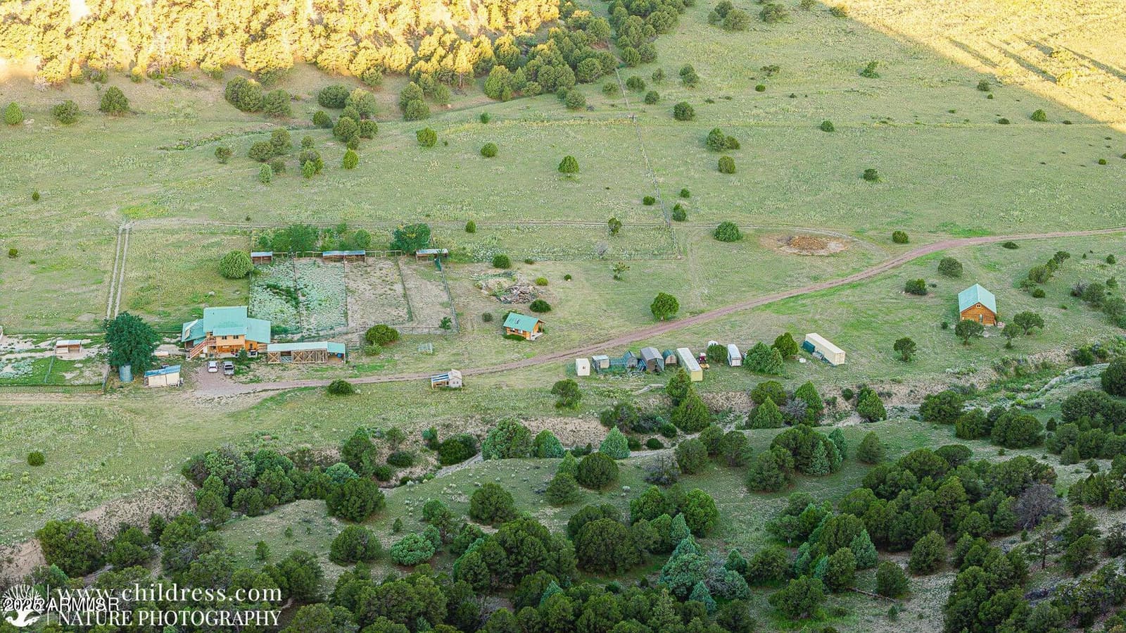 41451 HWY 180, Nutrioso, AZ 85932 — photo 34 of 68