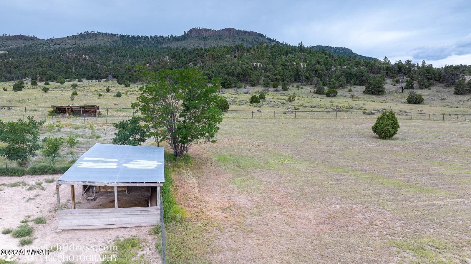 41451 HWY 180, Nutrioso, AZ 85932 — photo 38 of 68