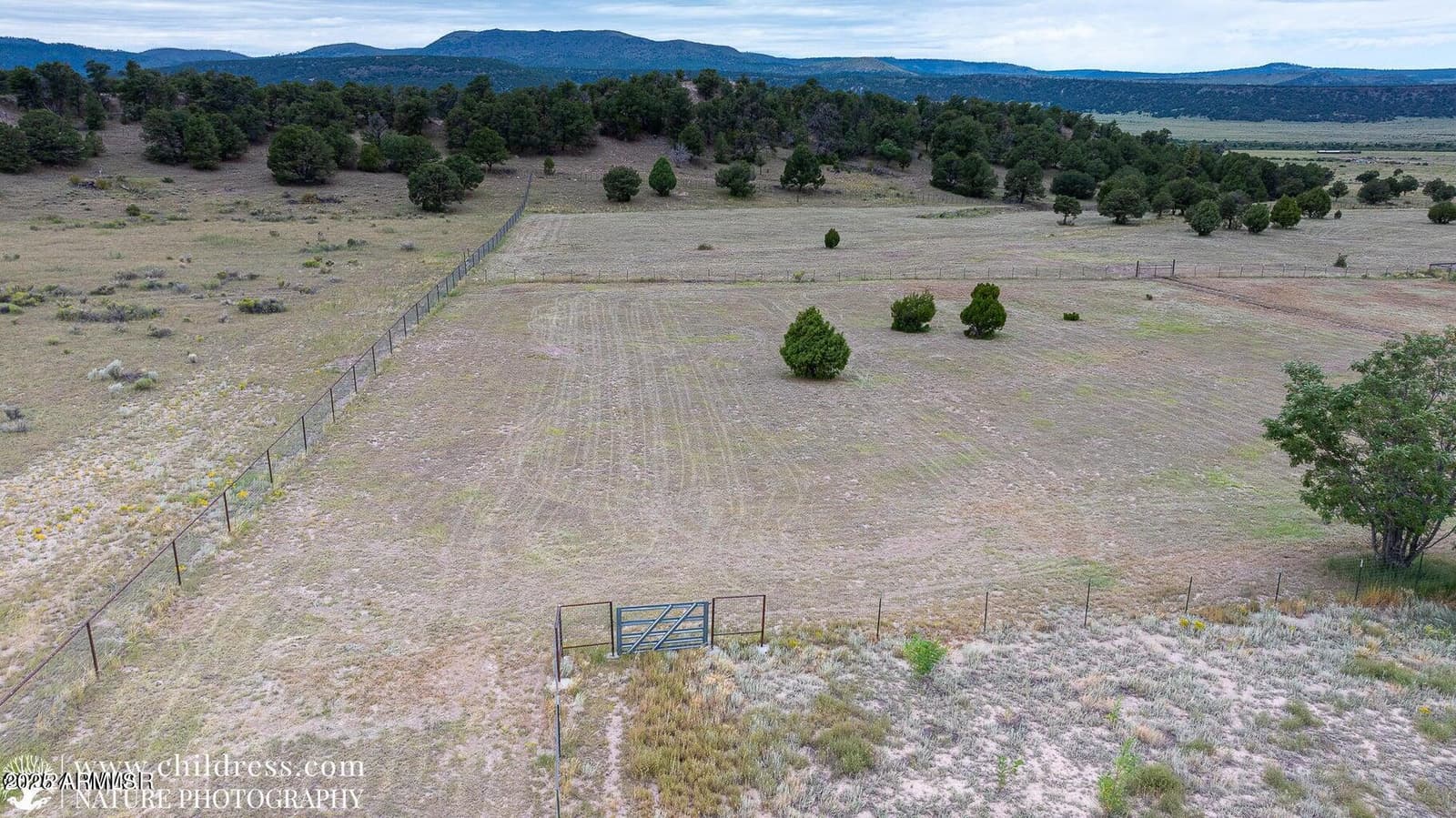 41451 HWY 180, Nutrioso, AZ 85932 — photo 41 of 68