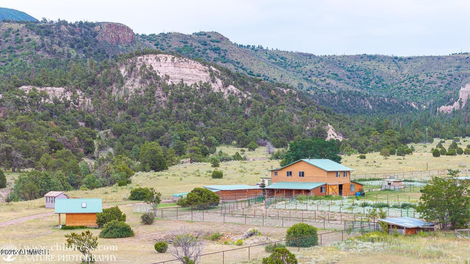 41451 HWY 180, Nutrioso, AZ 85932 — photo 42 of 68