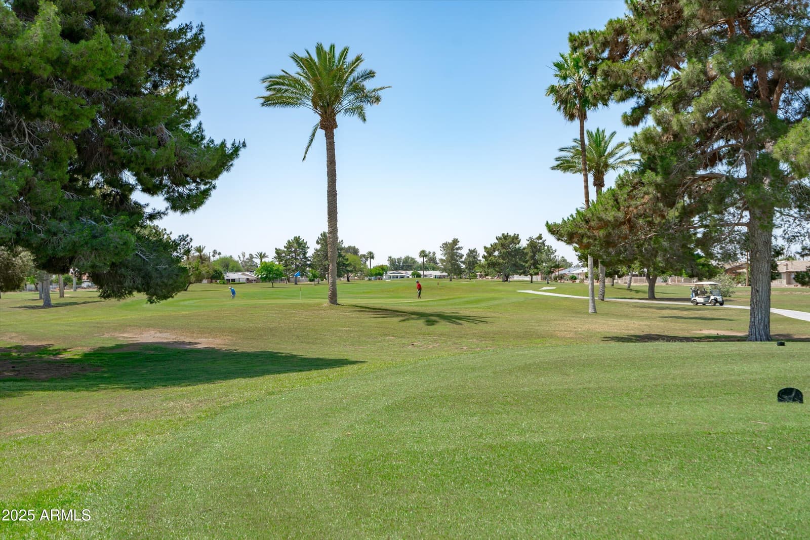 11220 N 109TH Avenue, Sun City, AZ 85351 — photo 8 of 47