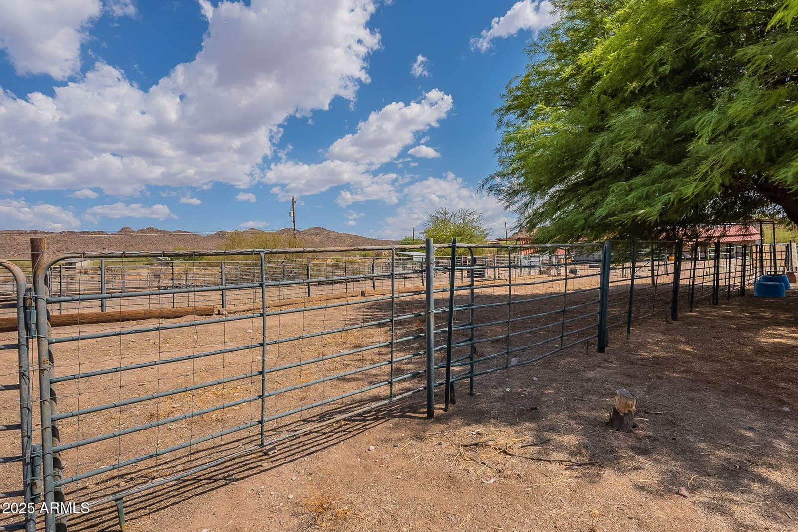 1900 W RUNNING DEER Drive, Queen Valley, AZ 85118 — photo 64 of 80