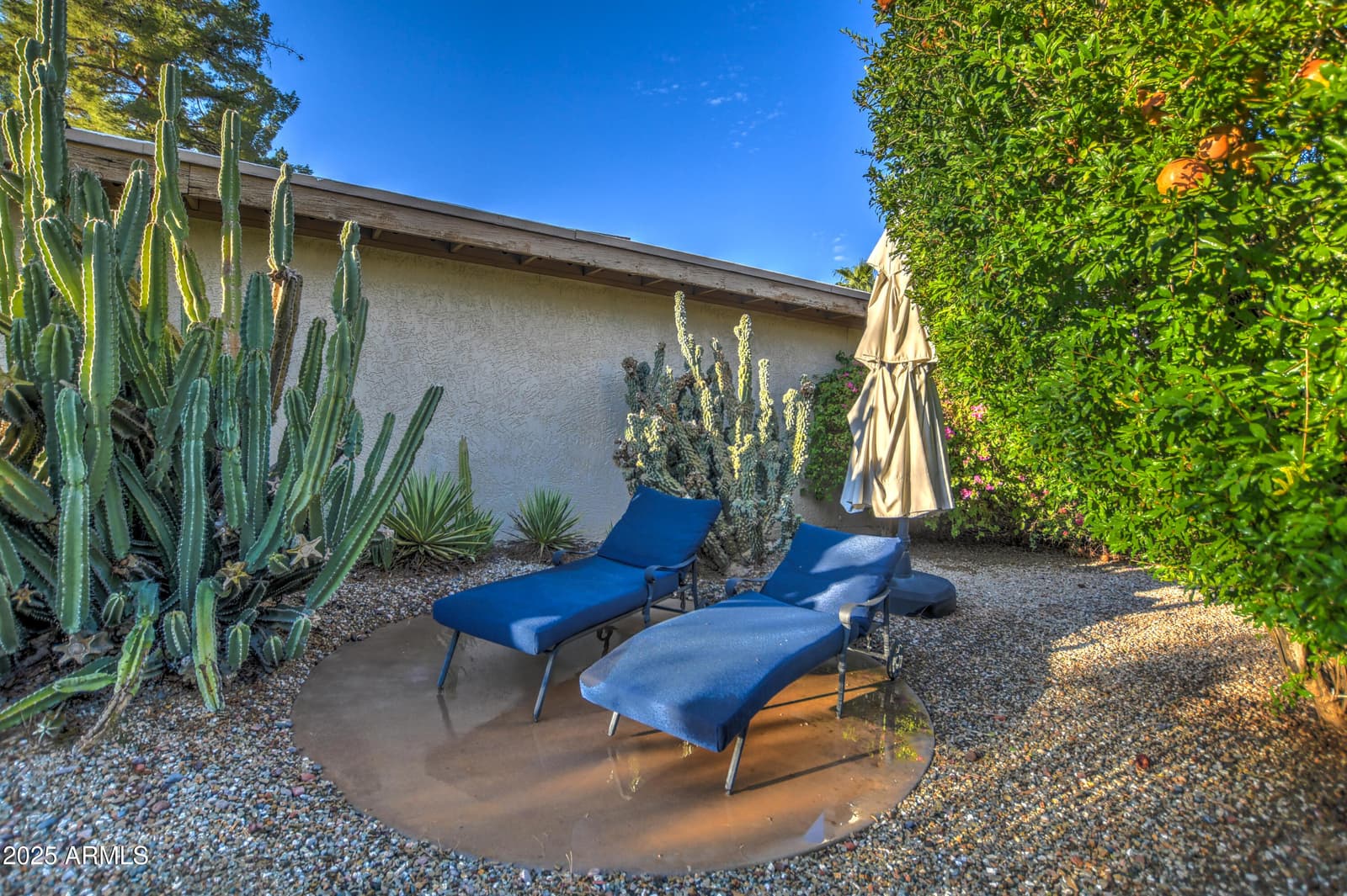 7806 N Via Del Sol, Scottsdale, AZ 85258 — photo 36 of 48