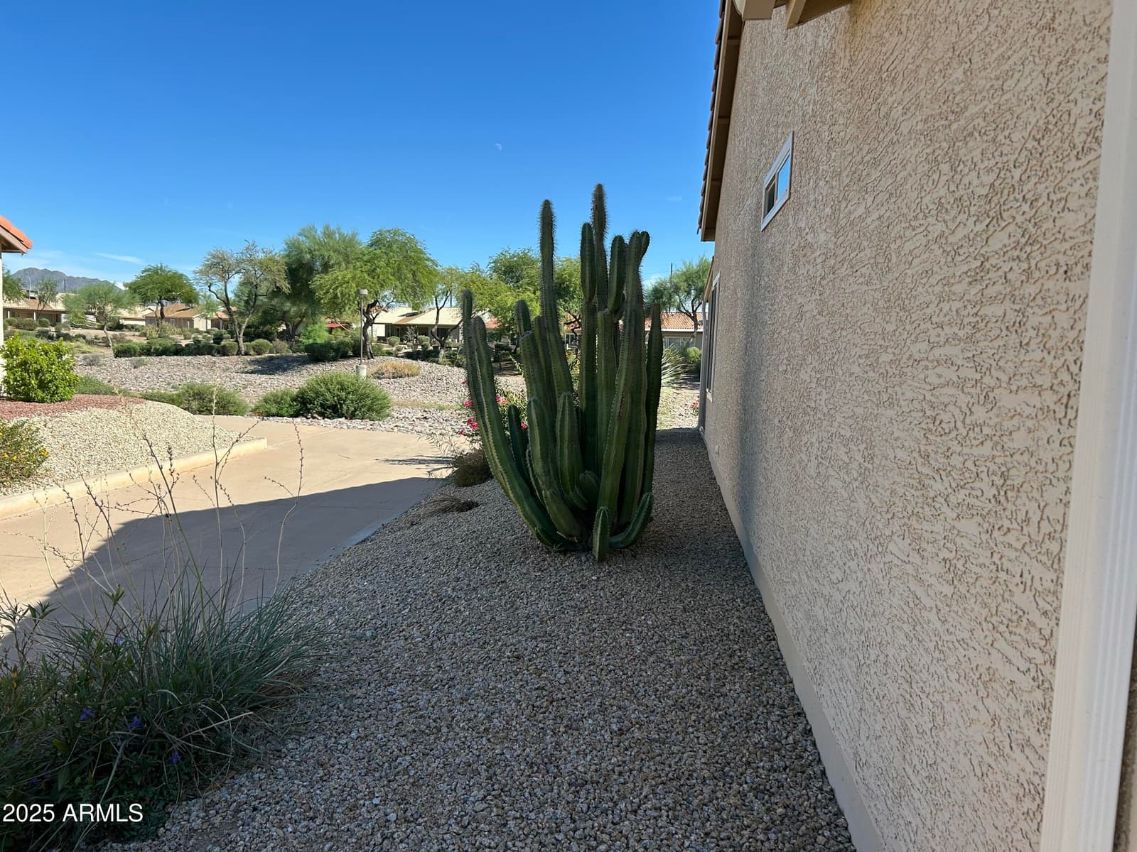 1807 E LINDRICK Drive, Chandler, AZ 85249 — photo 4 of 28