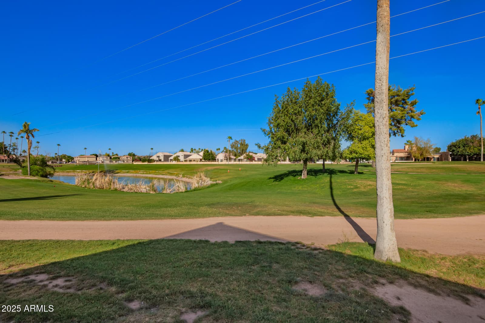 1335 E JUNE Street 239, Mesa, AZ 85203 — photo 29 of 34
