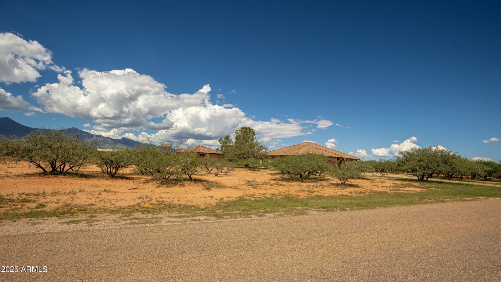 7072 S RIDLING Drive, Hereford, AZ 85615 — photo 7 of 69