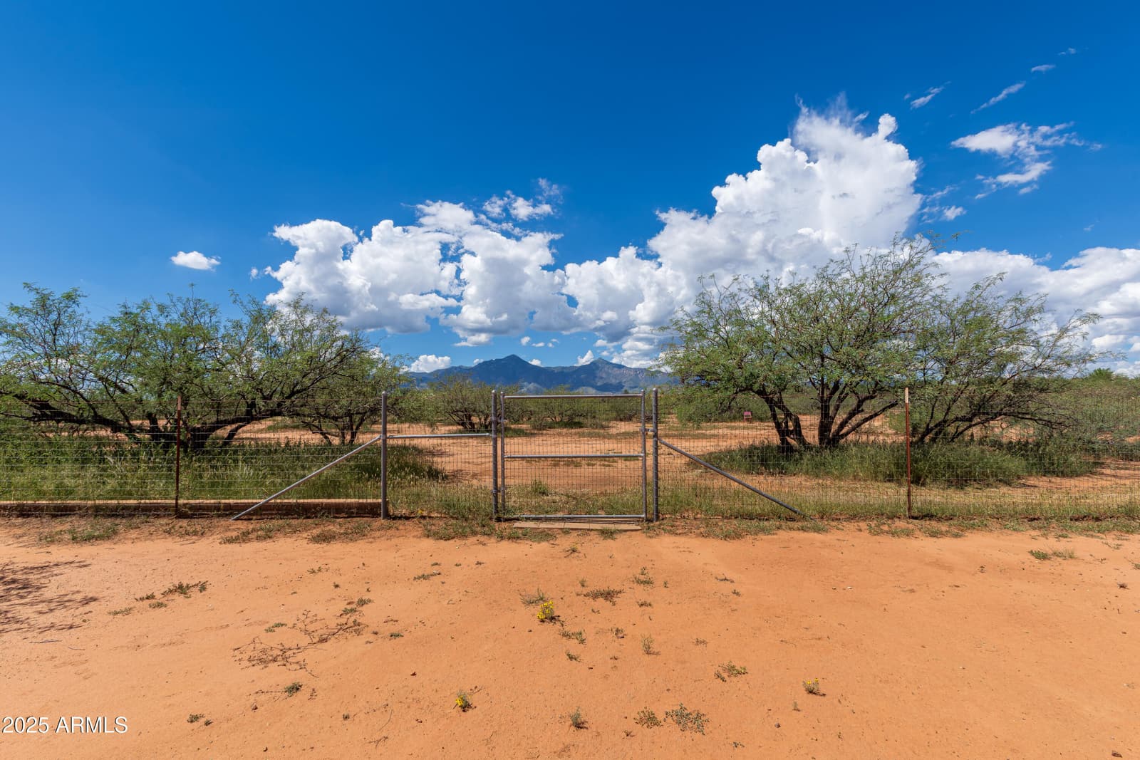 7072 S RIDLING Drive, Hereford, AZ 85615 — photo 58 of 69