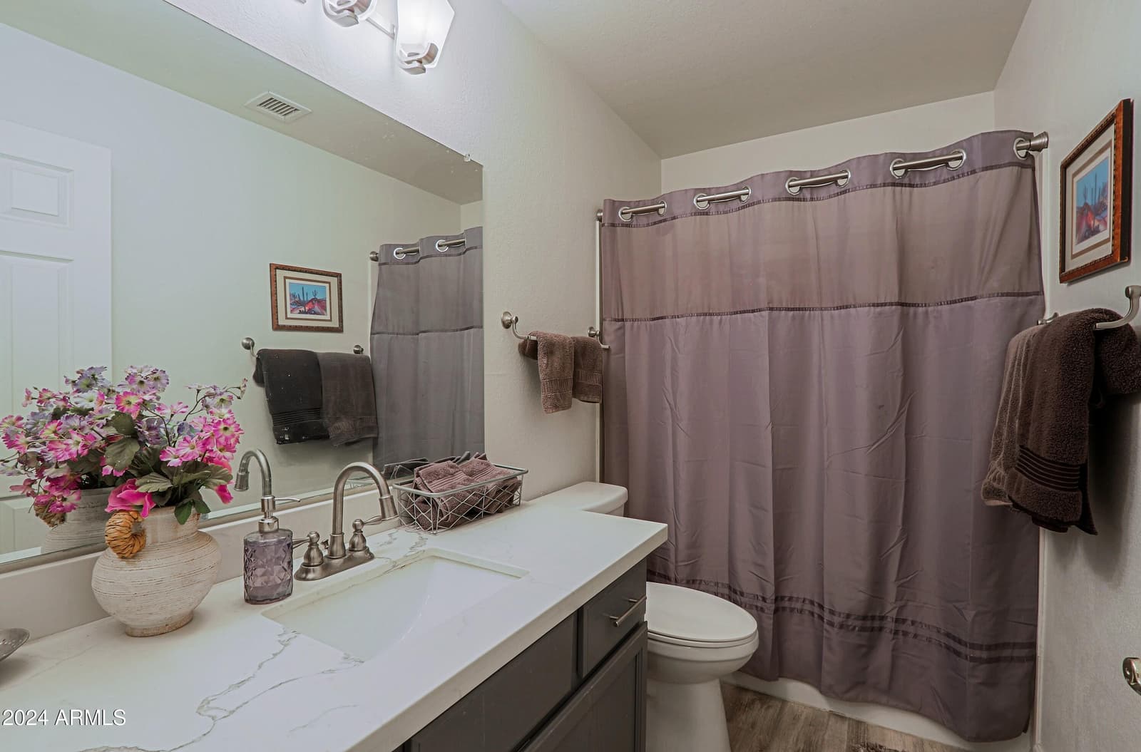 3846 N KINGS PEAK, Mesa, AZ 85215 — photo 24 of 55
