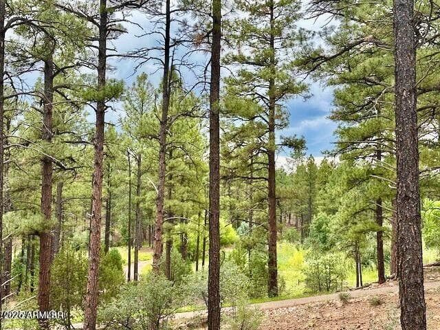 2711 W VILLA Loop, Show Low, AZ 85901 — photo 16 of 16