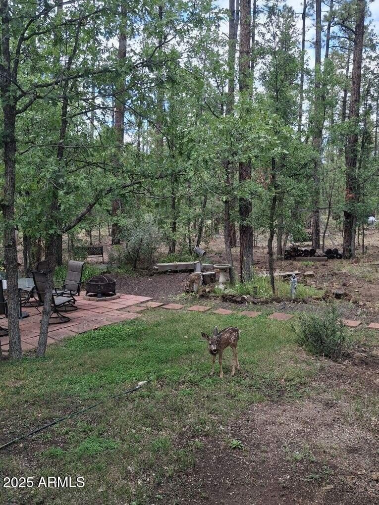 950 E Osprey Lane, Pinetop, AZ 85935 — photo 44 of 45