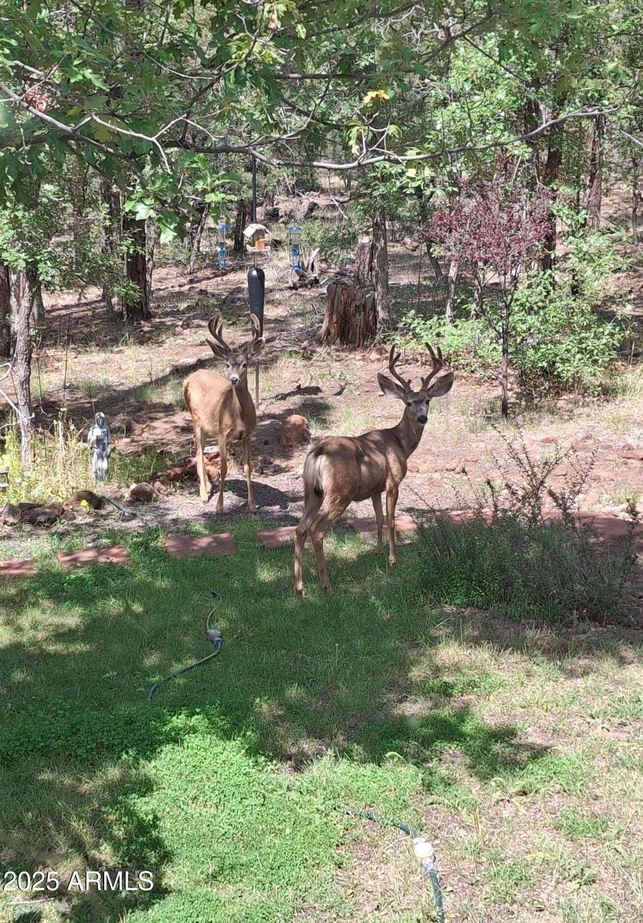 950 E Osprey Lane, Pinetop, AZ 85935 — photo 43 of 45