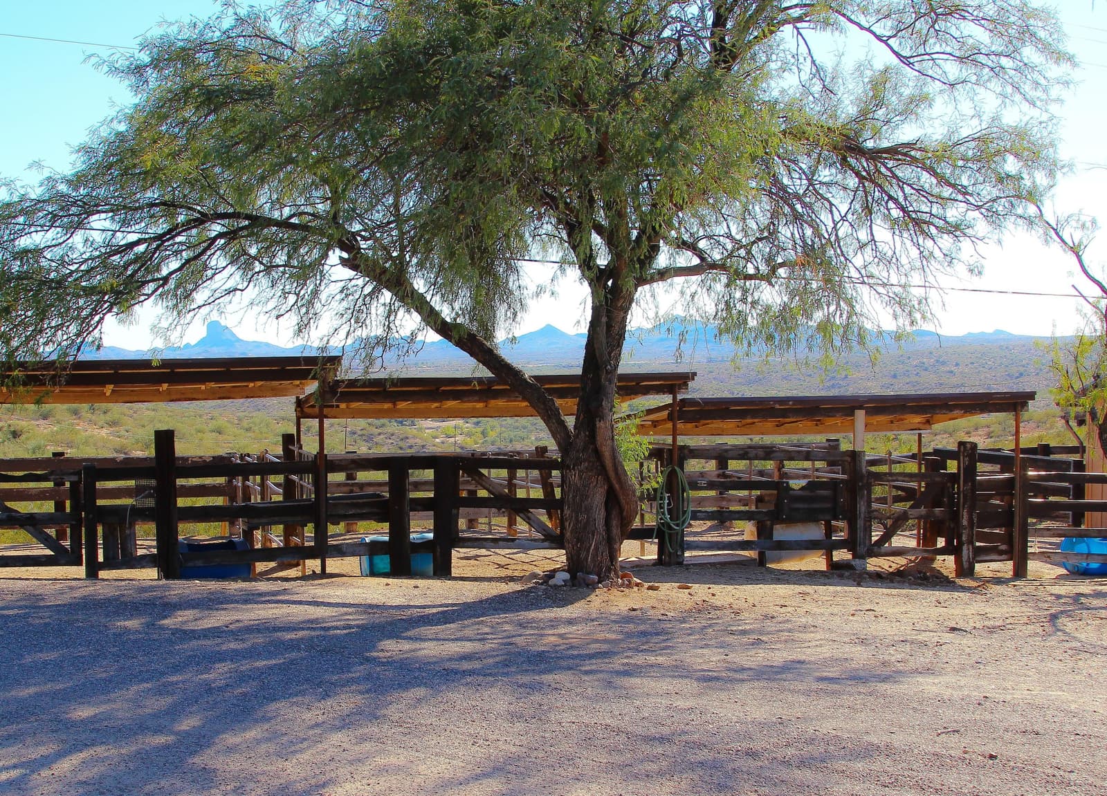 56550 RANCHO CASITAS Road, Wickenburg, AZ 85390 — photo 21 of 112