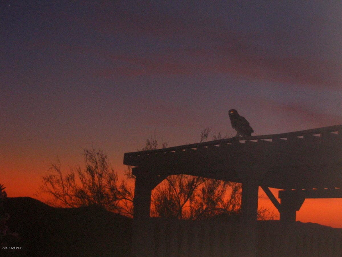 56550 RANCHO CASITAS Road, Wickenburg, AZ 85390 — photo 76 of 112