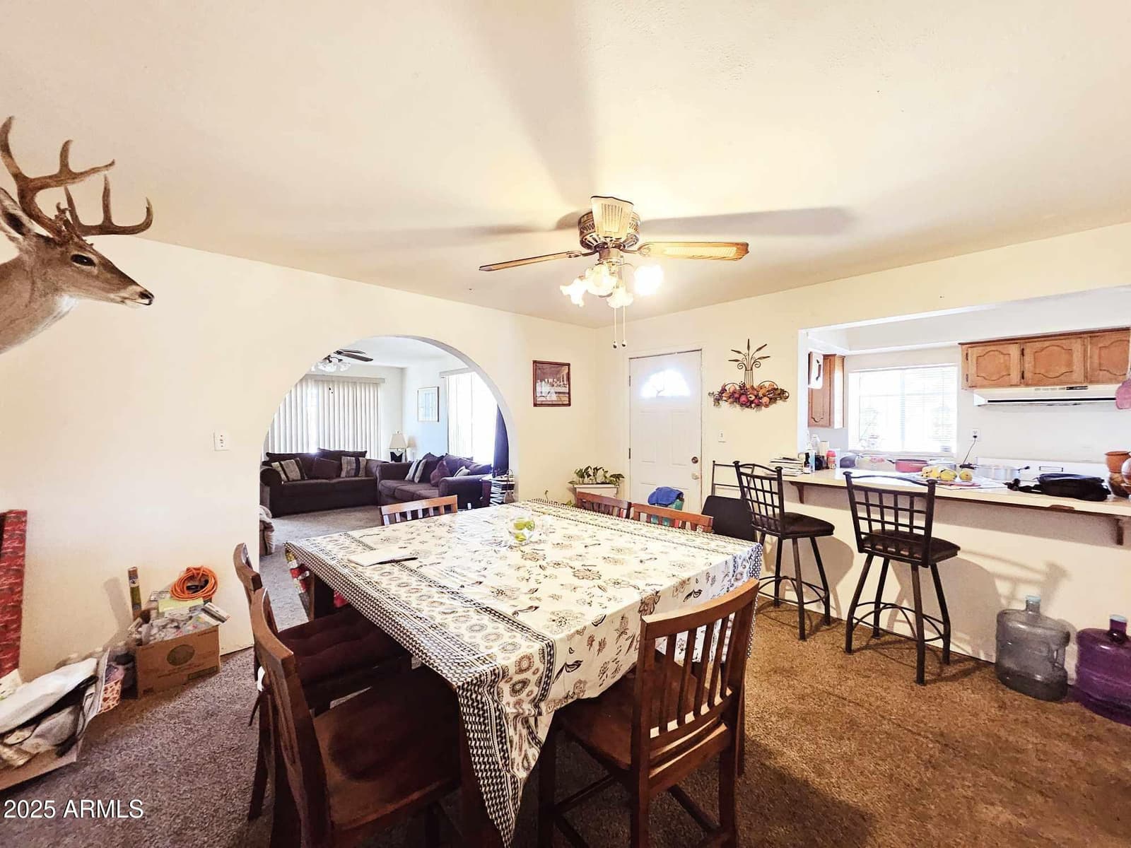 3728 S TOWNER Avenue, Naco, AZ 85620 — photo 11 of 19