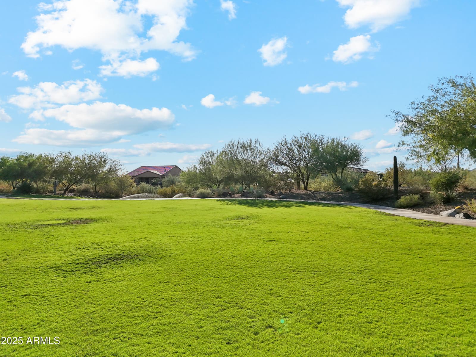 30383 N 131ST Drive, Peoria, AZ 85383 — photo 69 of 86