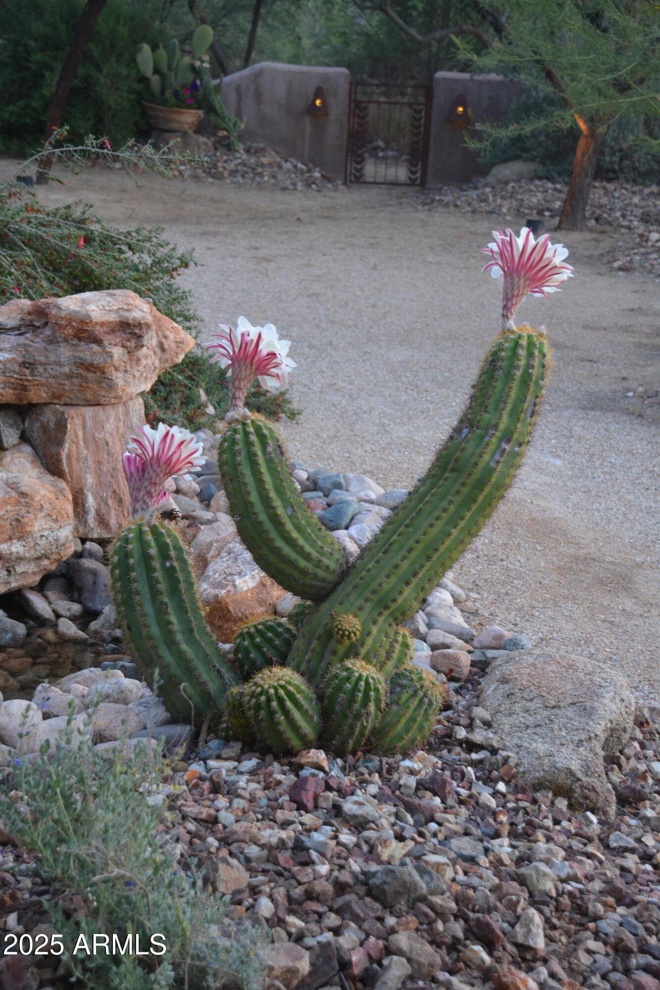 50602 N US Hwy 60 Avenue, Wickenburg, AZ 85390 — photo 148 of 198