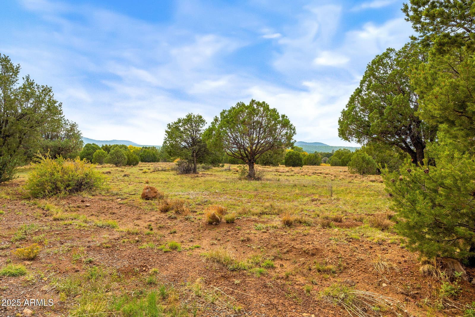 9 N3479, Vernon, AZ 85940 — photo 12 of 20