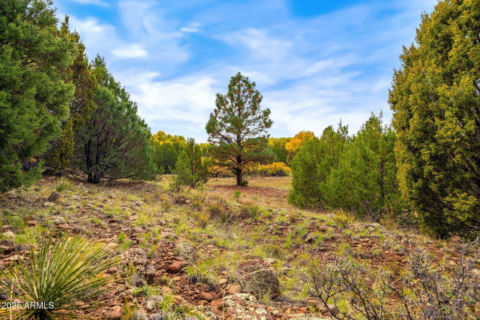 9 N3479, Vernon, AZ 85940 — photo 13 of 20