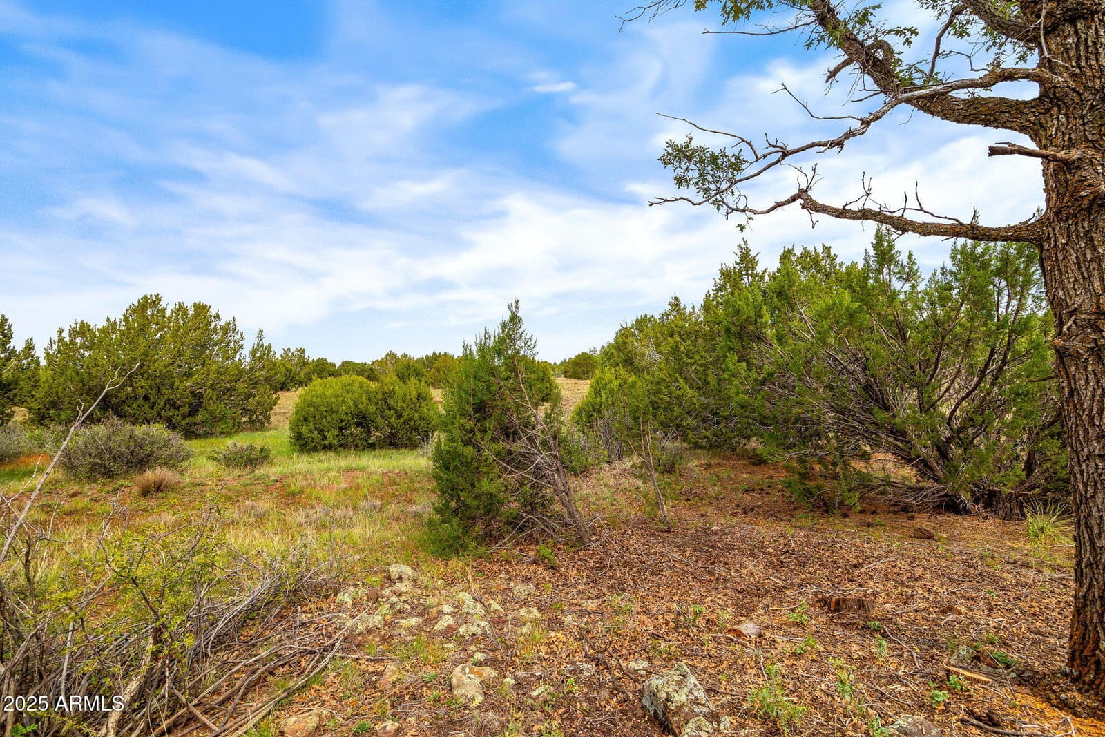 9 N3479, Vernon, AZ 85940 — photo 14 of 20