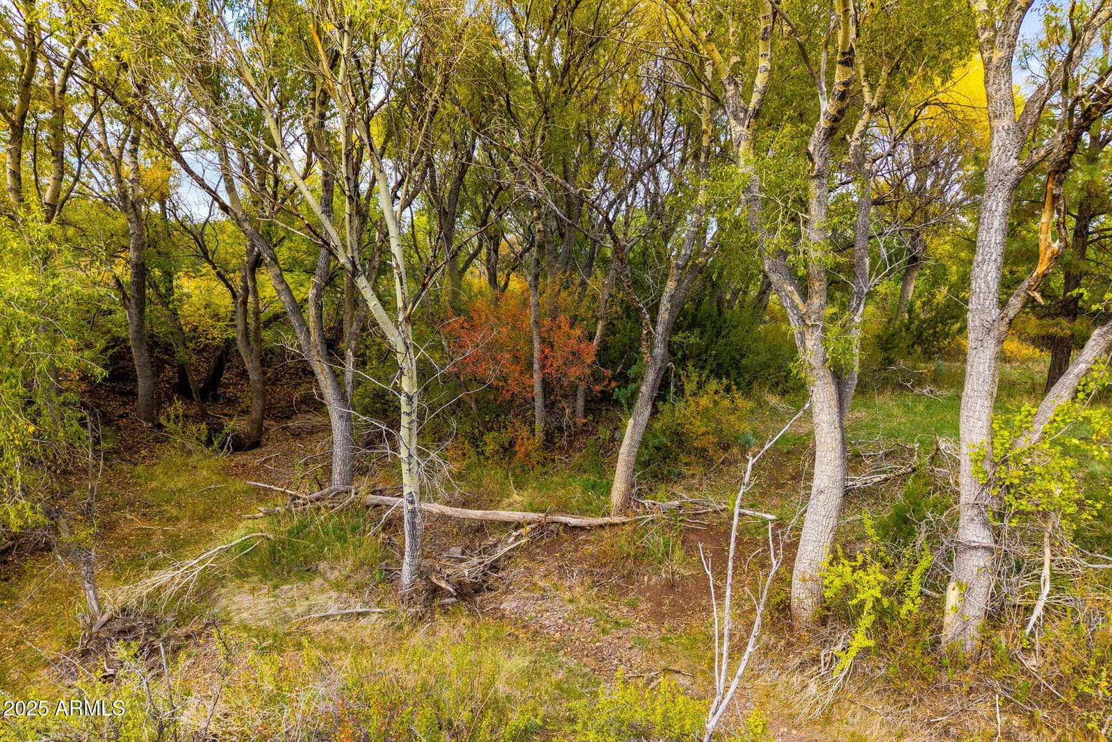 9 N3479, Vernon, AZ 85940 — photo 15 of 20
