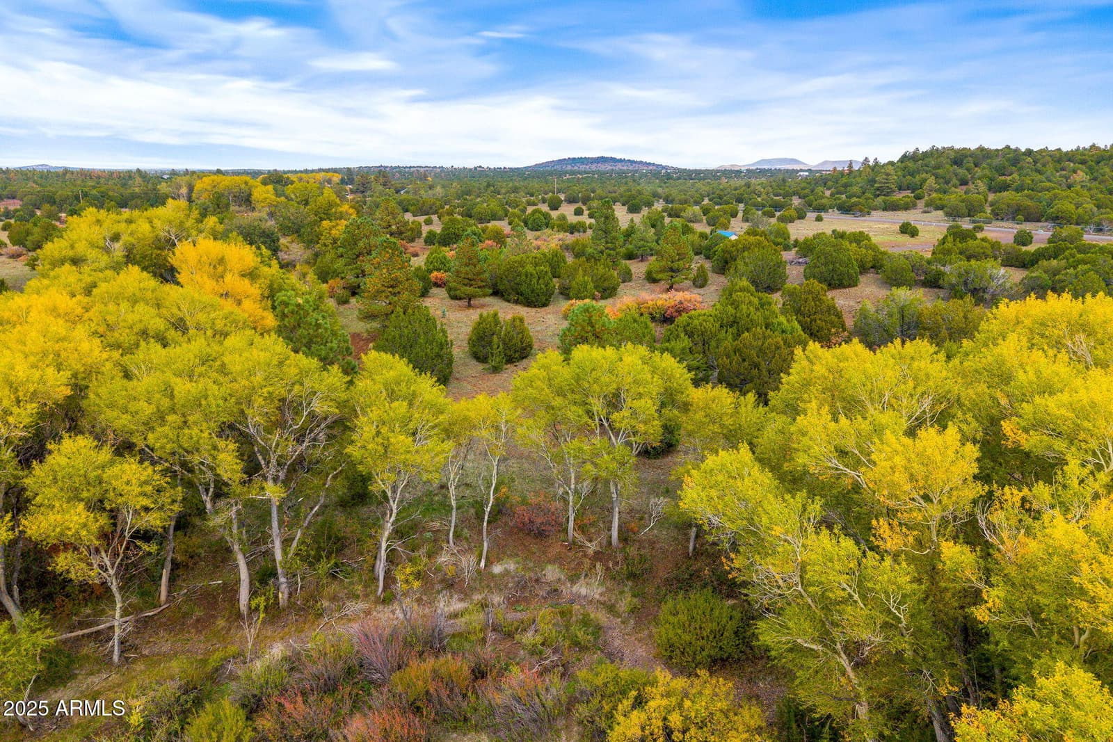 9 N3479, Vernon, AZ 85940 — photo 16 of 20