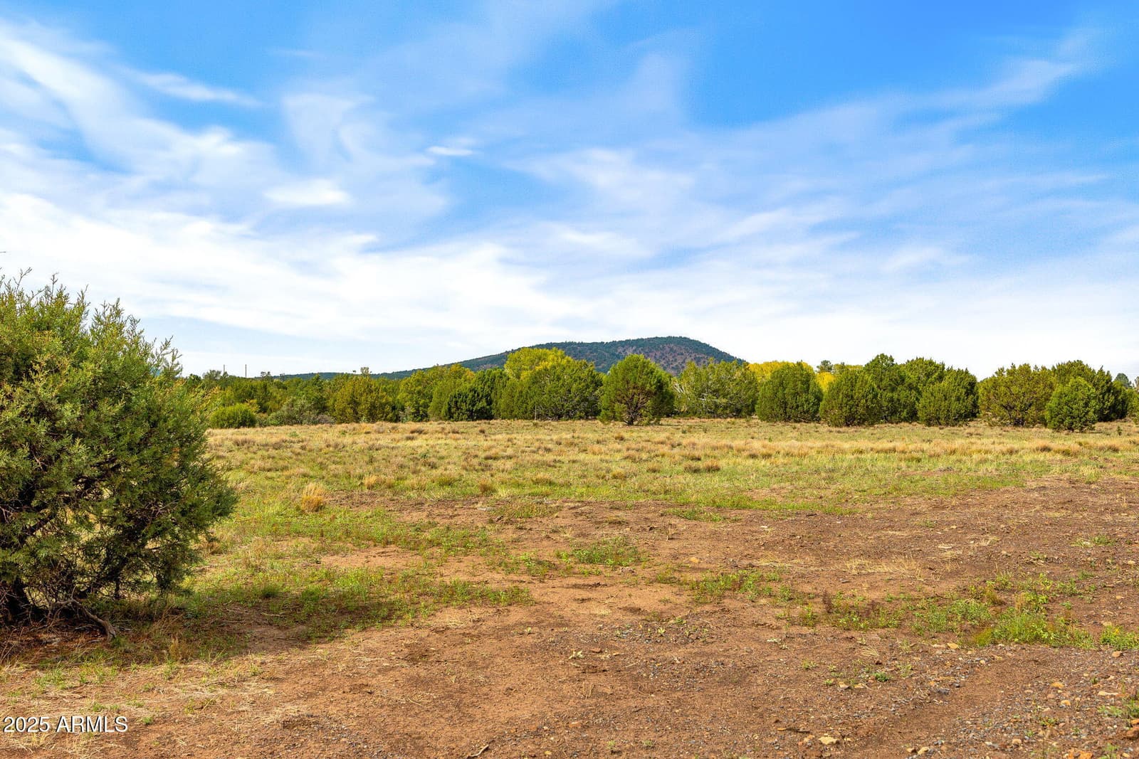 9 N3479, Vernon, AZ 85940 — photo 17 of 20