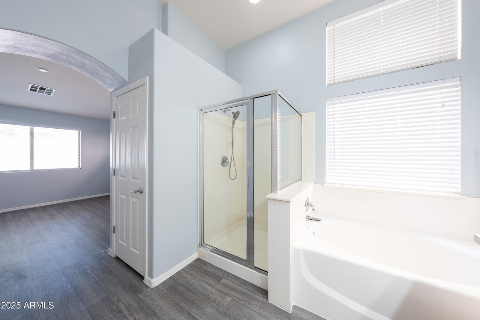 15354 W TASHA Drive, Surprise, AZ 85374 — photo 47 of 58