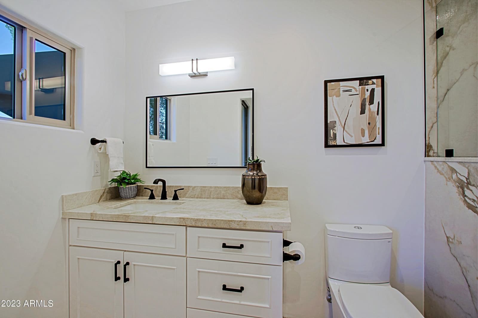 41327 N 106TH Street, Scottsdale, AZ 85262 — photo 65 of 122