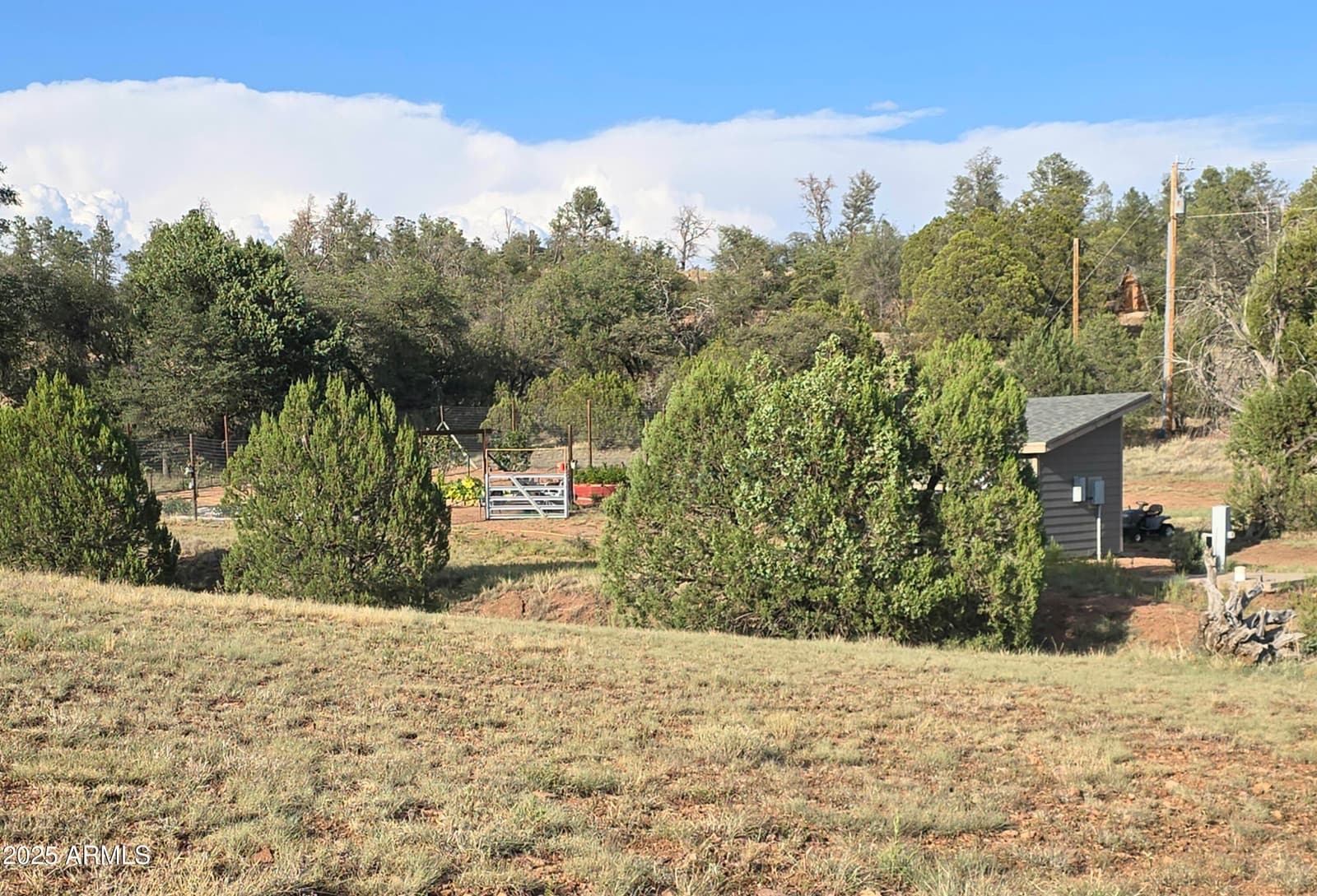 455 N SEELEY Road, Young, AZ 85554 — photo 45 of 59