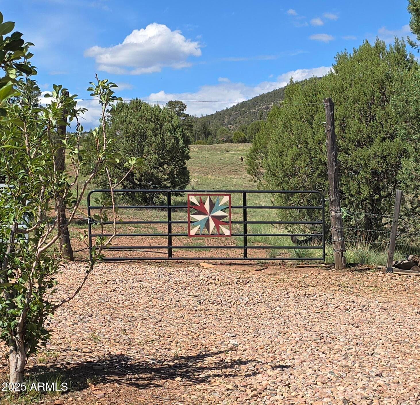 455 N SEELEY Road, Young, AZ 85554 — photo 58 of 59