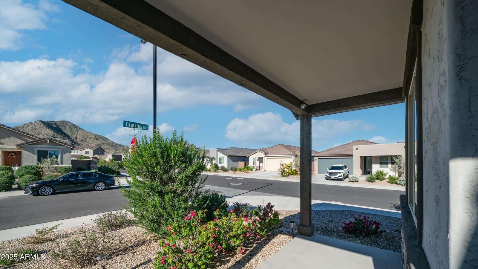 4548 W Charlie Drive, San Tan Valley, AZ 85144 — photo 4 of 28