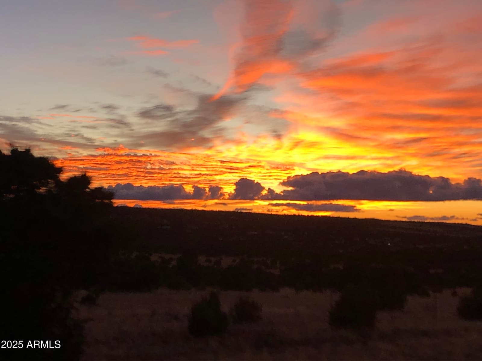 80 County Rd N3313, Vernon, AZ 85940 — photo 42 of 50