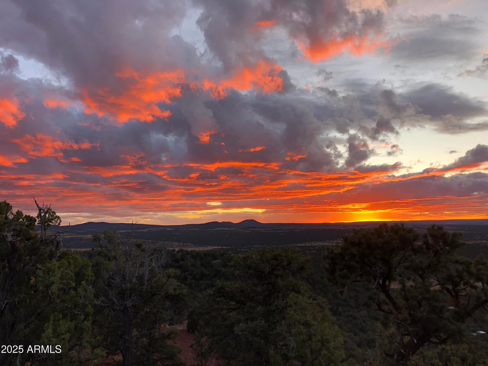 80 County Rd N3313, Vernon, AZ 85940 — photo 47 of 50