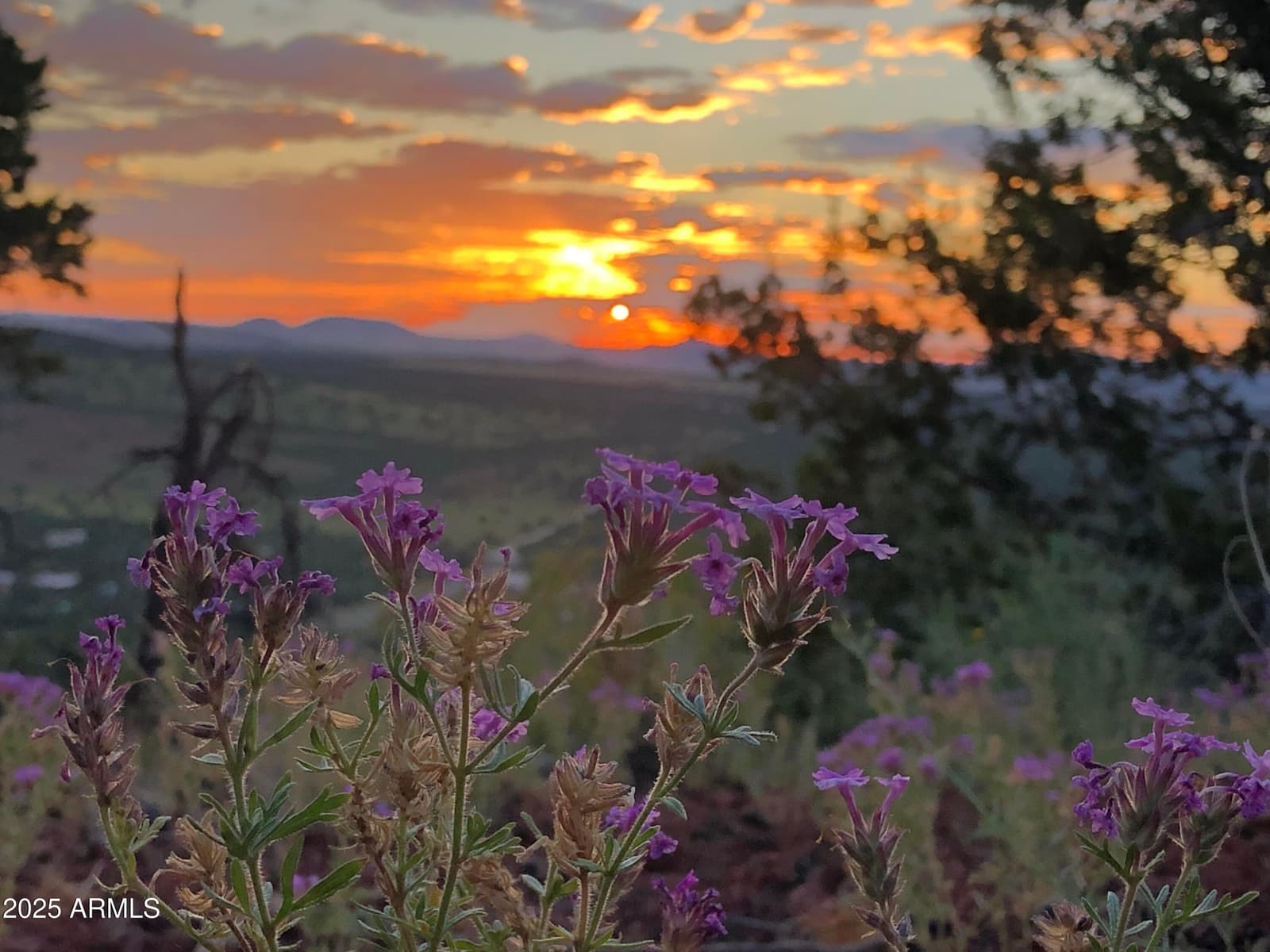 80 County Rd N3313, Vernon, AZ 85940 — photo 50 of 50