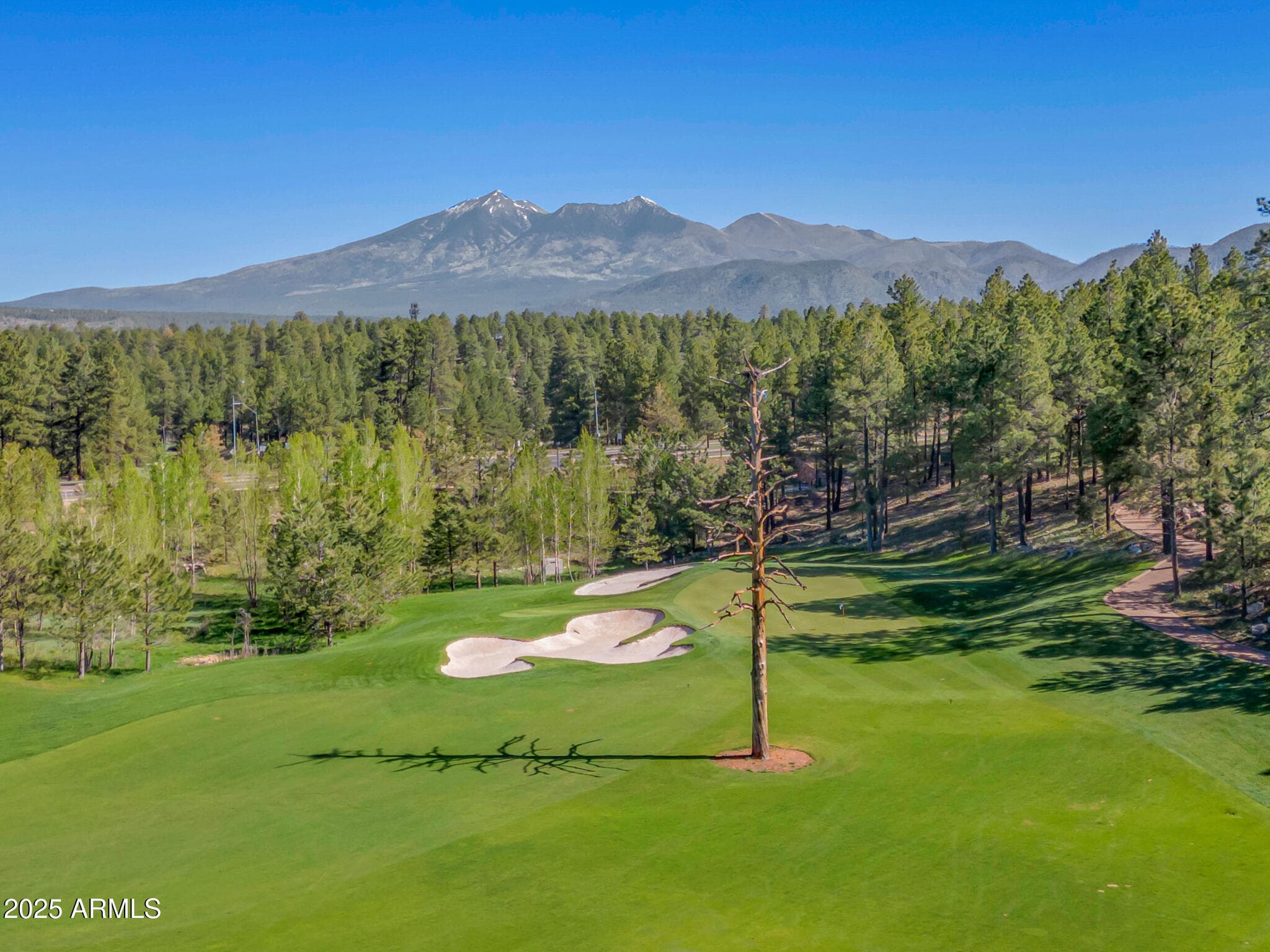 3345 S Ghost Tree Drive 5, Flagstaff, AZ 86005 — photo 31 of 45