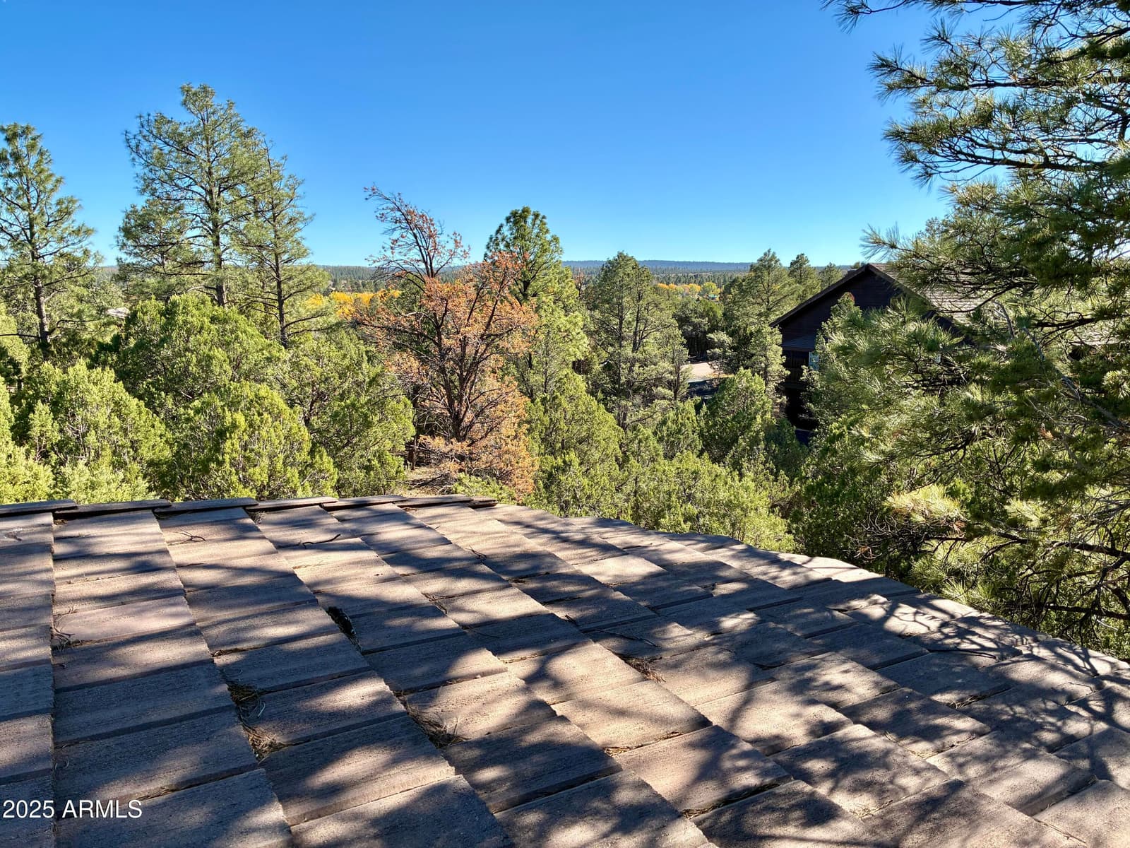 2761 APOLLO Circle, Overgaard, AZ 85933 — photo 39 of 52