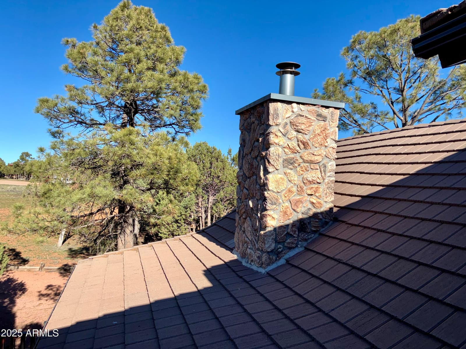 2761 APOLLO Circle, Overgaard, AZ 85933 — photo 41 of 52