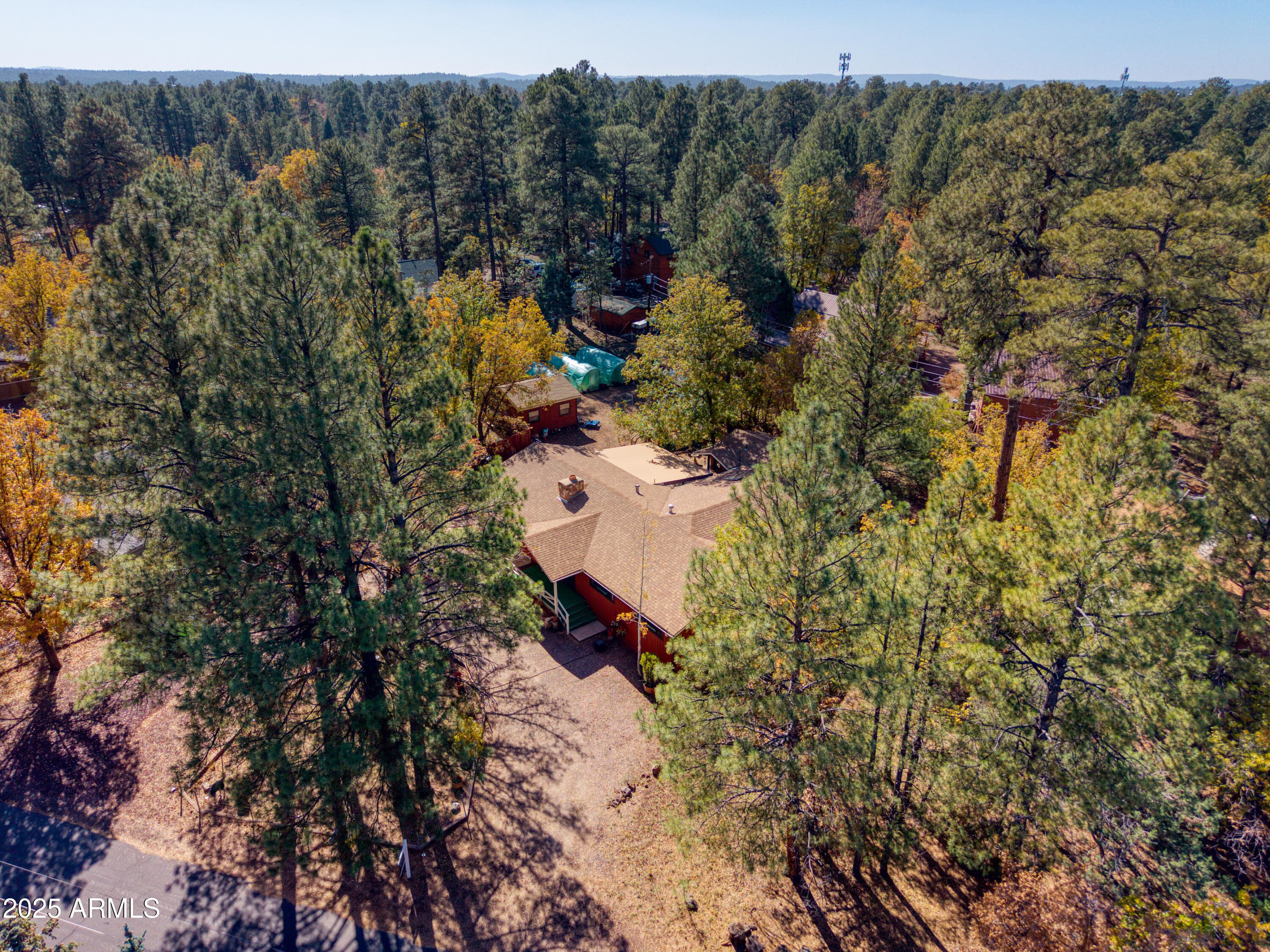 537 W BILLY CREEK Drive, Lakeside, AZ 85929 — photo 27 of 28