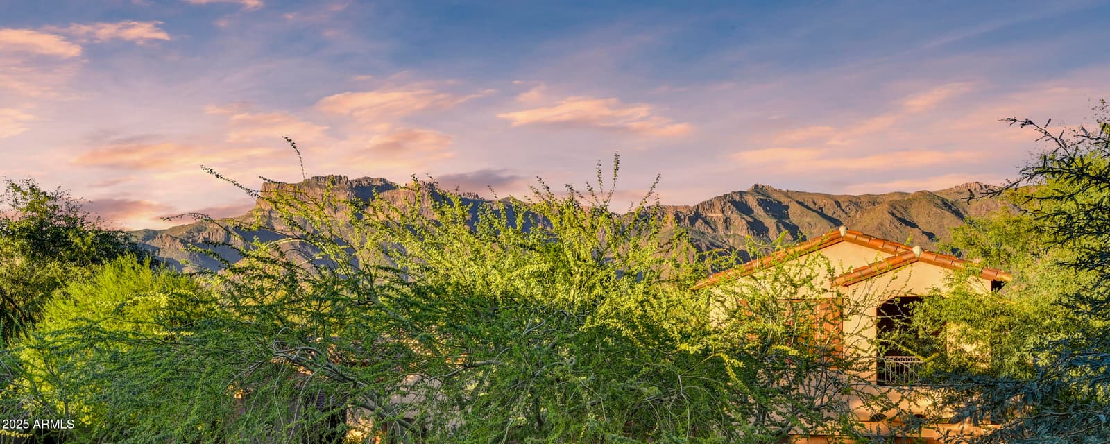 3128 S HONEYSUCKLE Court, Gold Canyon, AZ 85118 — photo 28 of 58