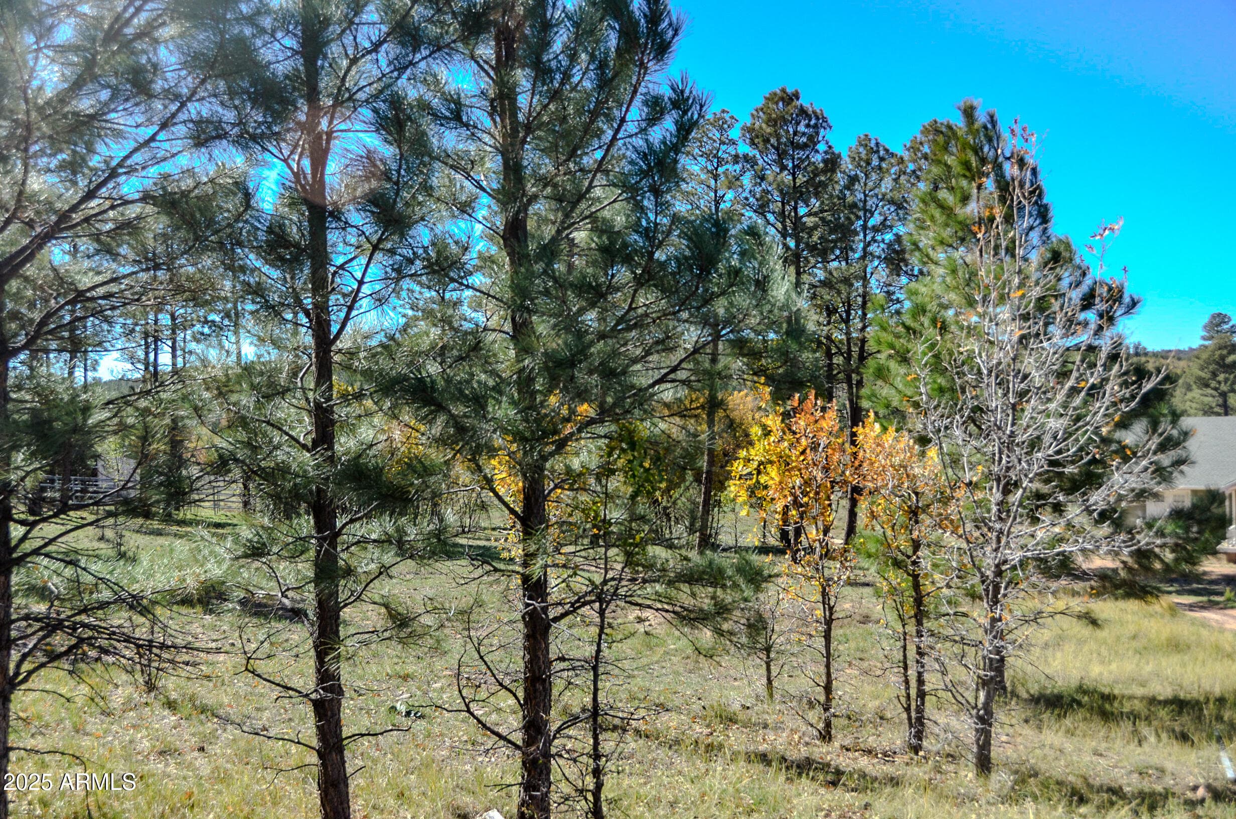 685 KUHN Road, Pinedale, AZ 85934 — photo 52 of 74