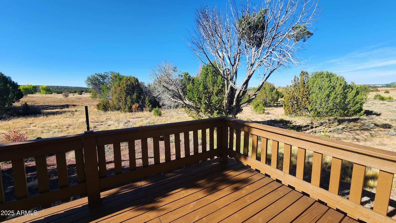 26 Trevino Drive, Concho, AZ 85924 — photo 26 of 30