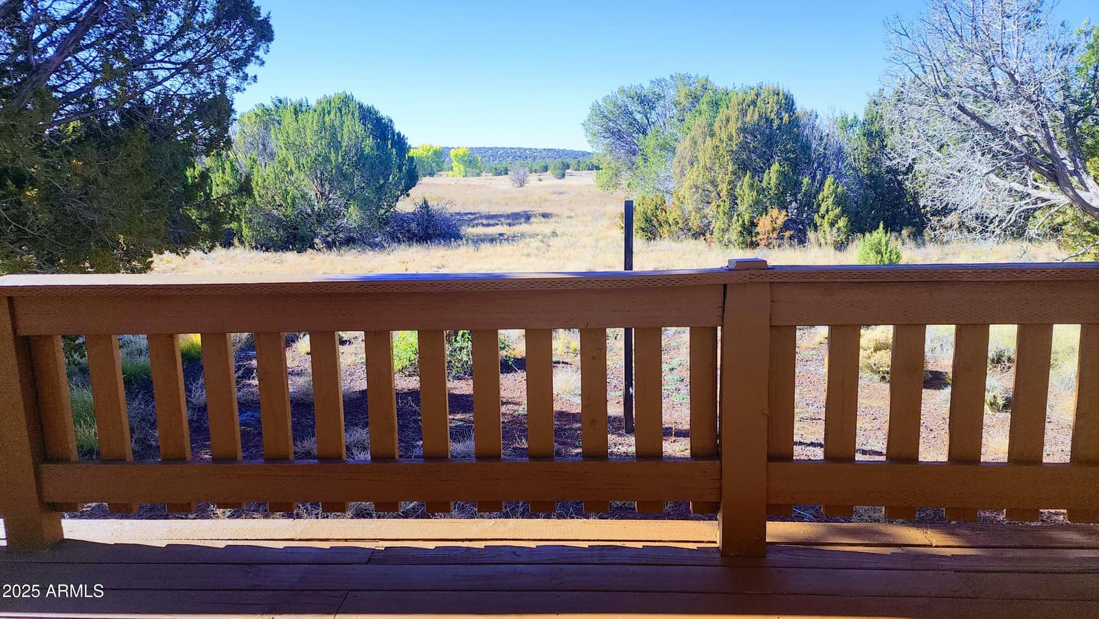 26 Trevino Drive, Concho, AZ 85924 — photo 28 of 30