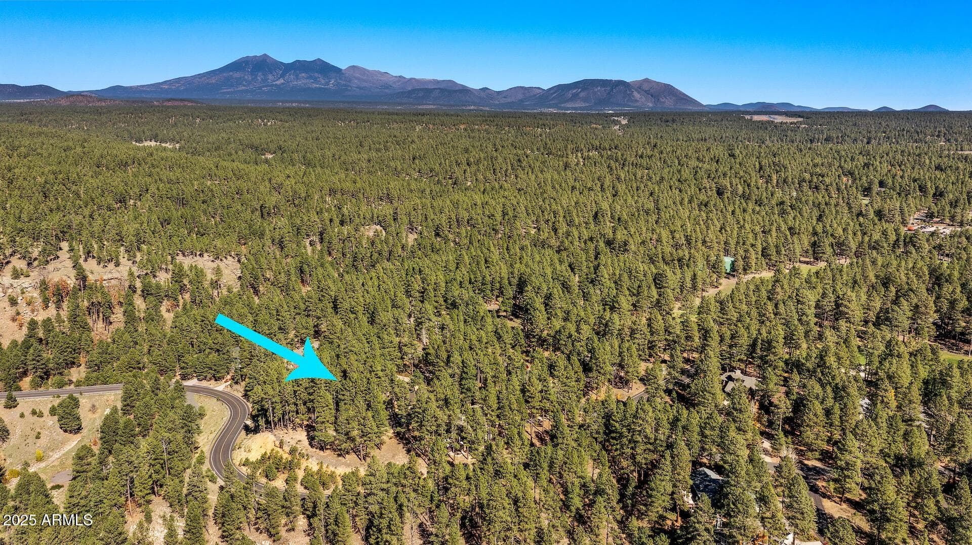2082 WILLIAM PALMER, Flagstaff, AZ 86005 — photo 4 of 61