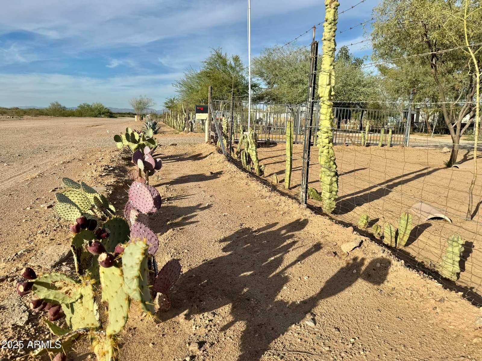 27021 N 211TH Avenue, Wittmann, AZ 85361 — photo 44 of 46