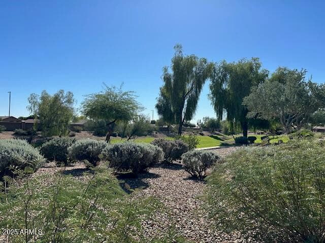 17807 N NAVARRO Court, Surprise, AZ 85374 — photo 37 of 37