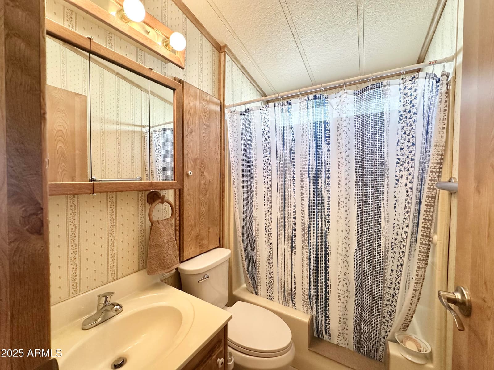 904 S MINESHAFT Drive, Apache Junction, AZ 85119 — photo 37 of 55