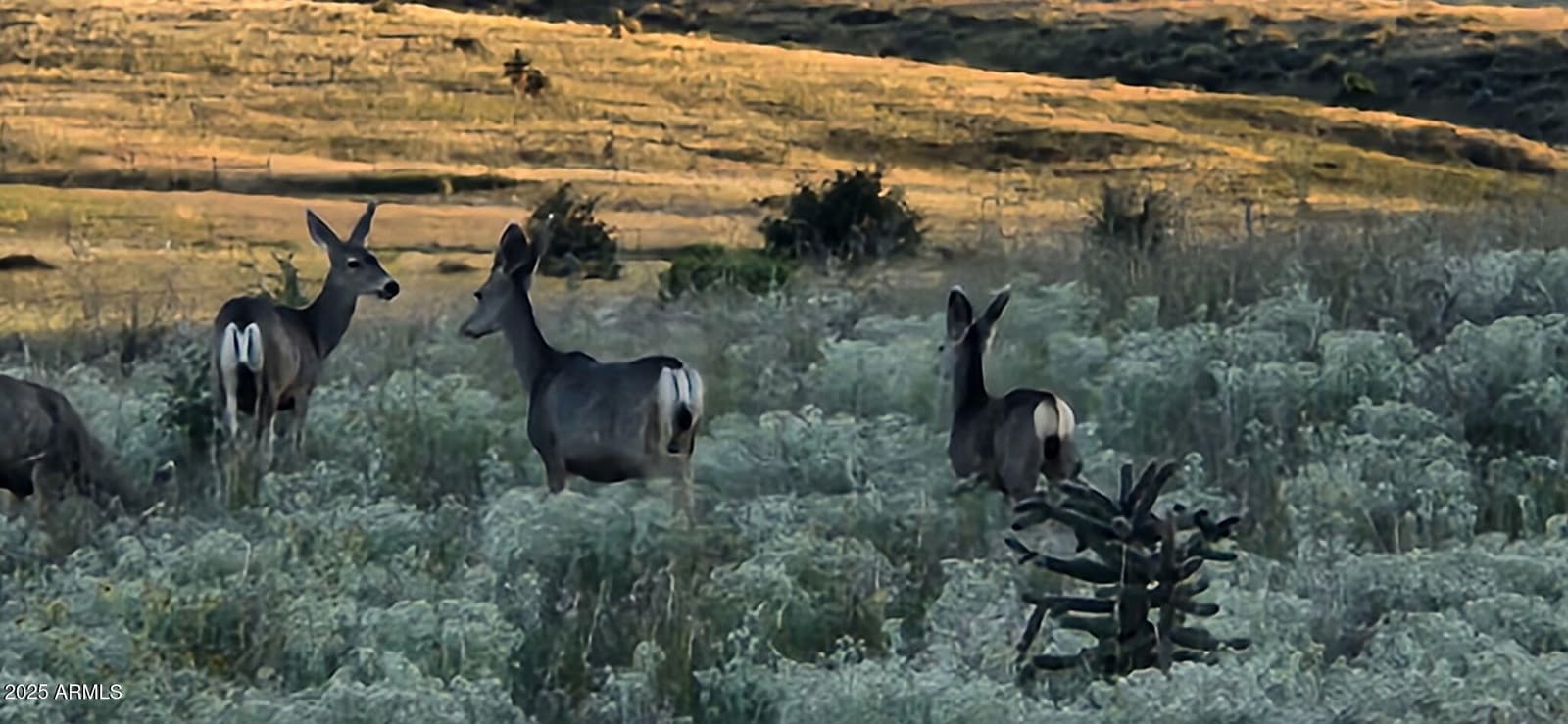 4 MUSTANG Trail, Sonoita, AZ 85637 — photo 107 of 107