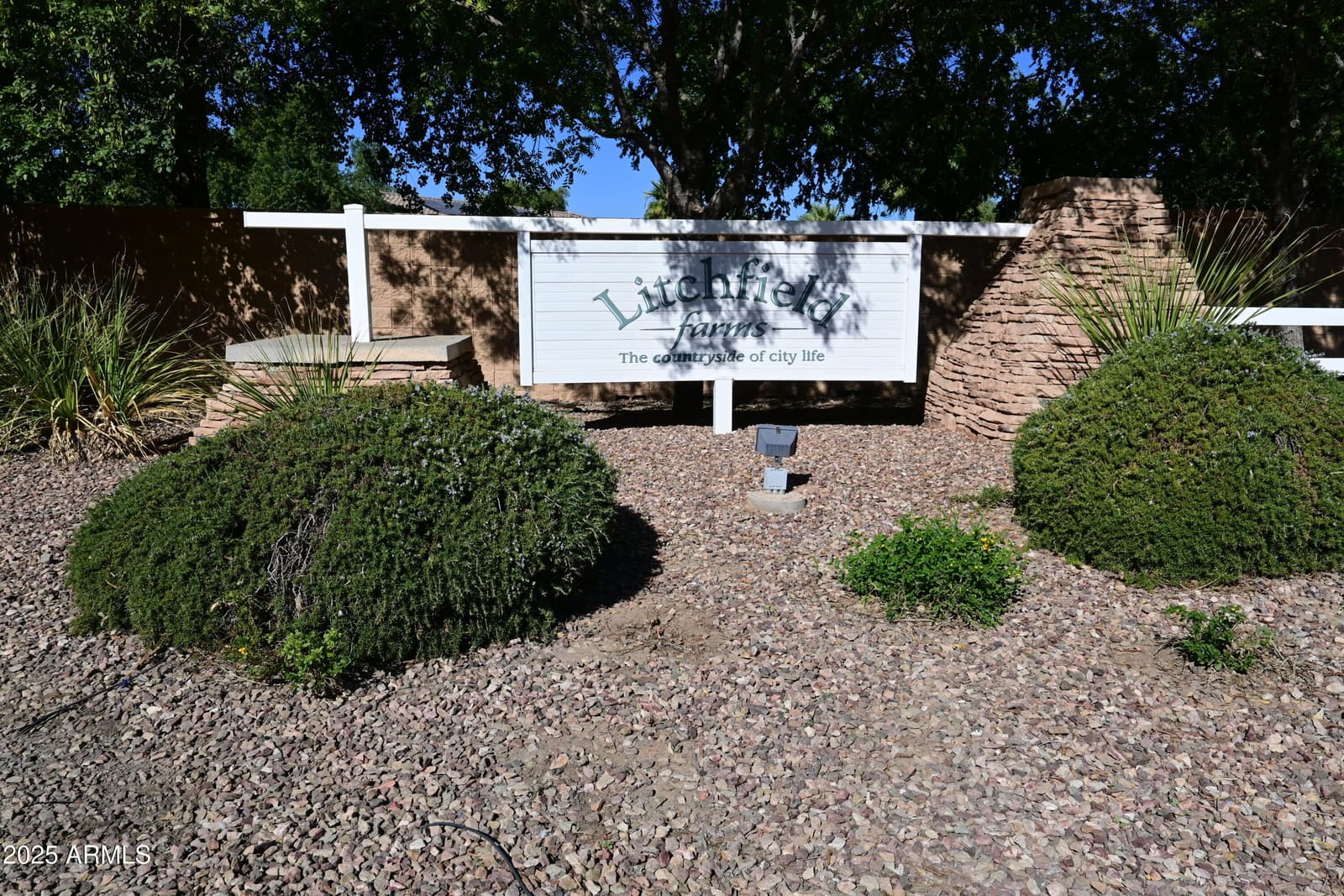 3721 N Brindley Avenue, Litchfield Park, AZ 85340 — photo 52 of 54