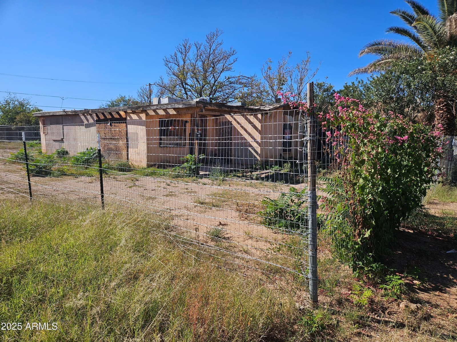325 E 8th Street, Douglas, AZ 85607 — photo 3 of 14